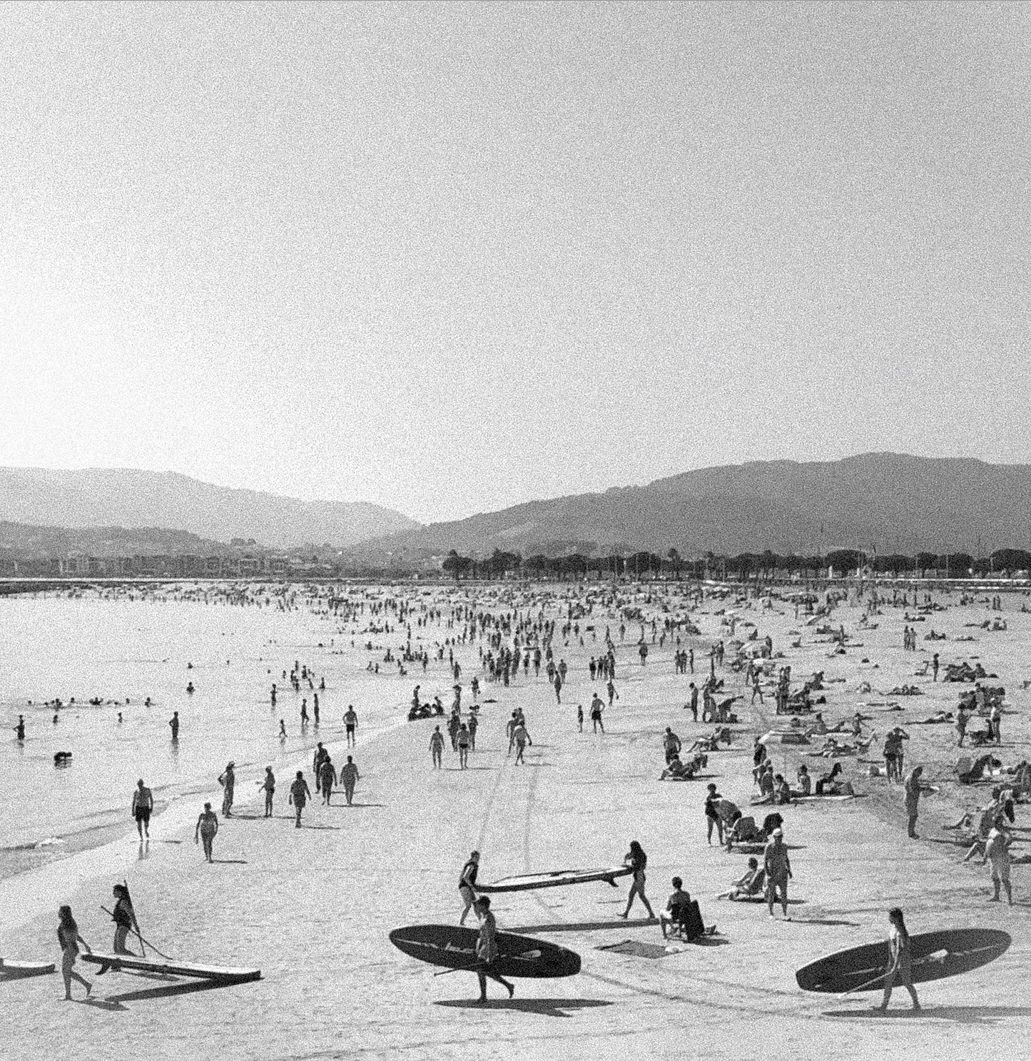NEW - SAN SEBASTIÁN SUMMER PRINT